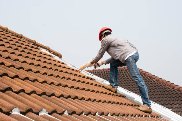 Best Slate Roofing  in Verona, KY